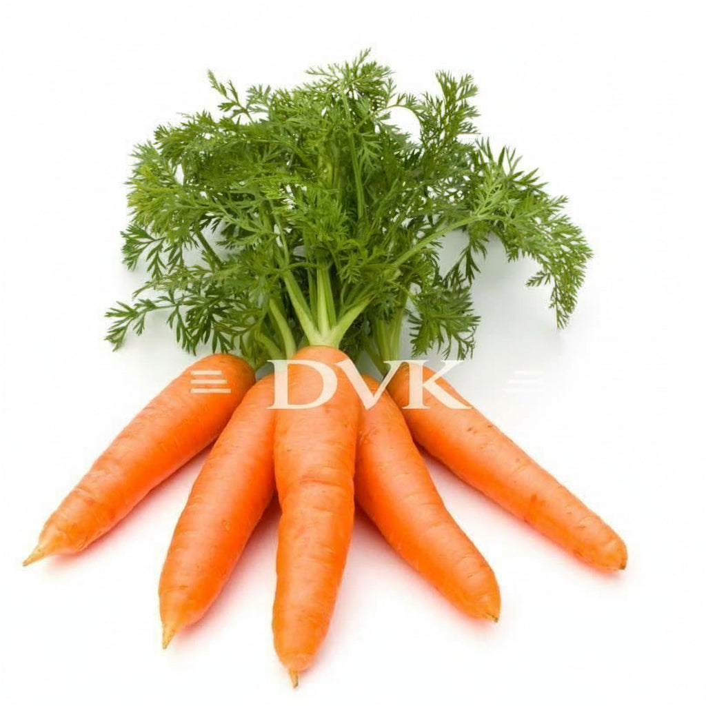 Bunch of carrots with green tops on a white background, branded 'DVK'.