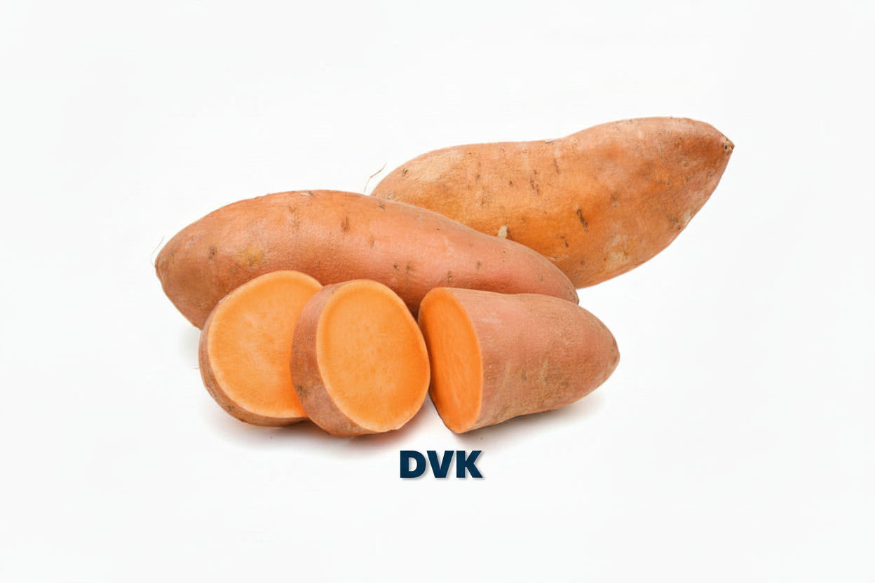 Sweet White Potato (Approx 750g)