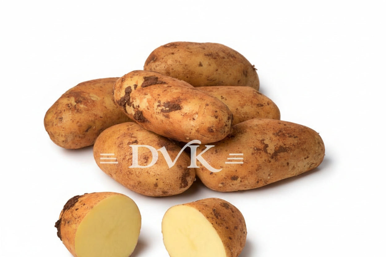 Mud Potato / Cyprus Potato App. 1KG