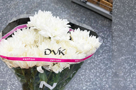 Flower Chevanthi Yellow/White (Approx 300g to 400g)