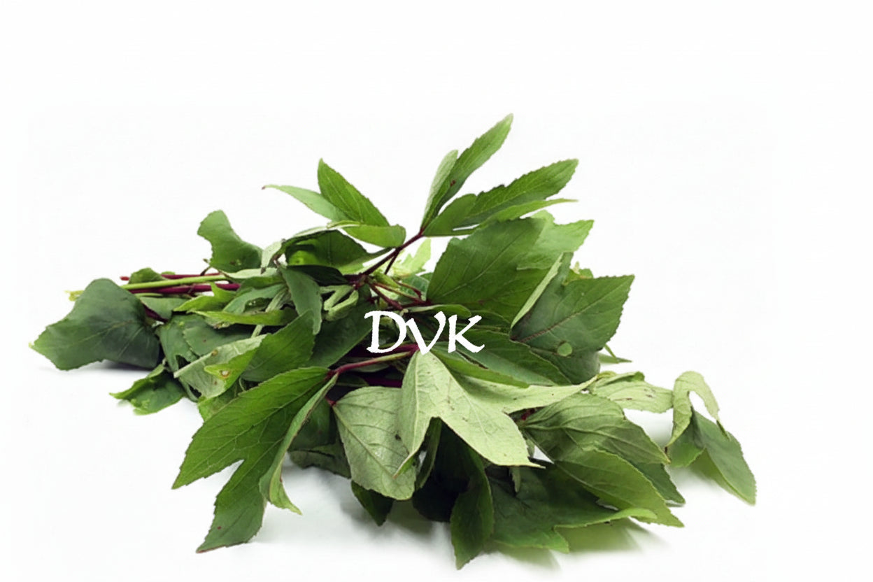 Gongura / Sorrel leaves App. 200g (Bunch)