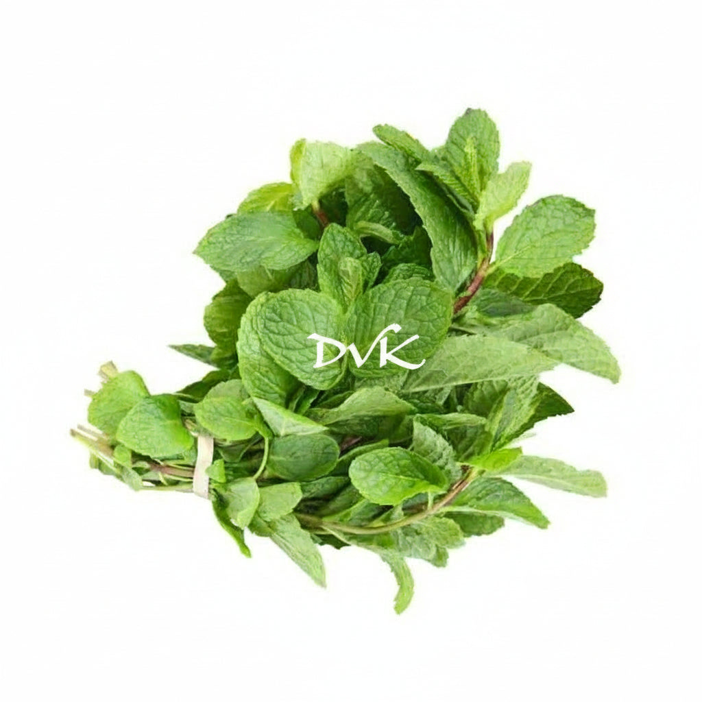 Bunch of fresh green leaves with 