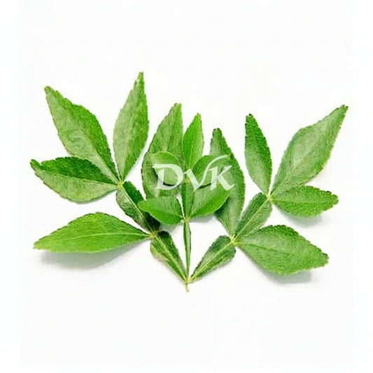 Green leaves on a white background with 'DVK's' branding.