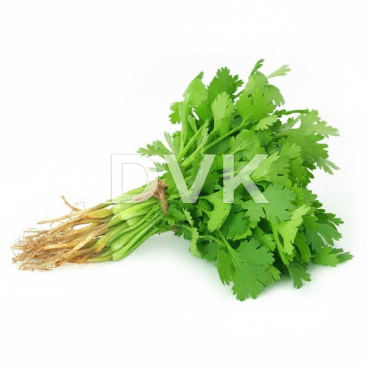 Bunch of fresh green cilantro on a white background with 'DVK's' branding.