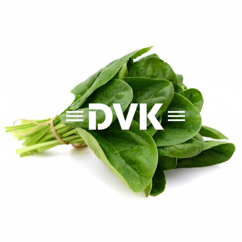 Bunch of green spinach leaves tied with a rubber