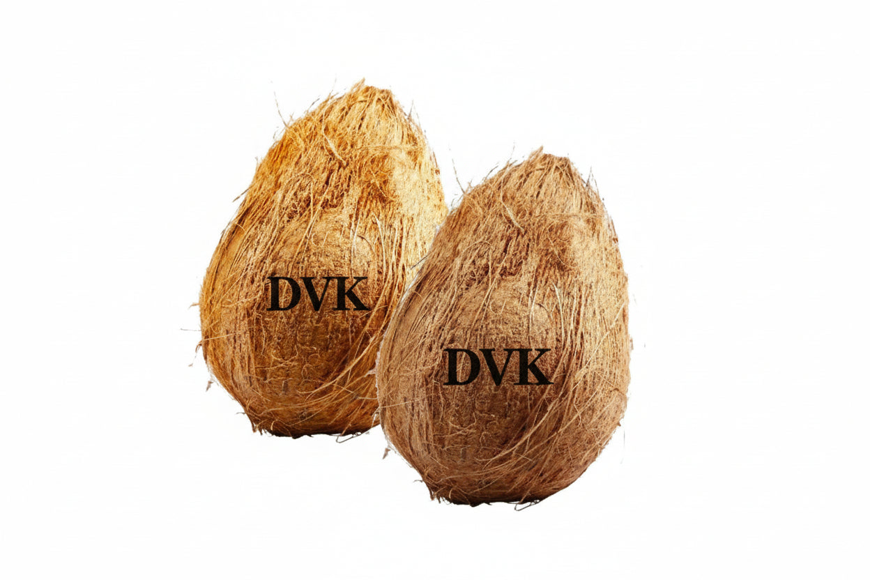Coconut (Pack of 2)