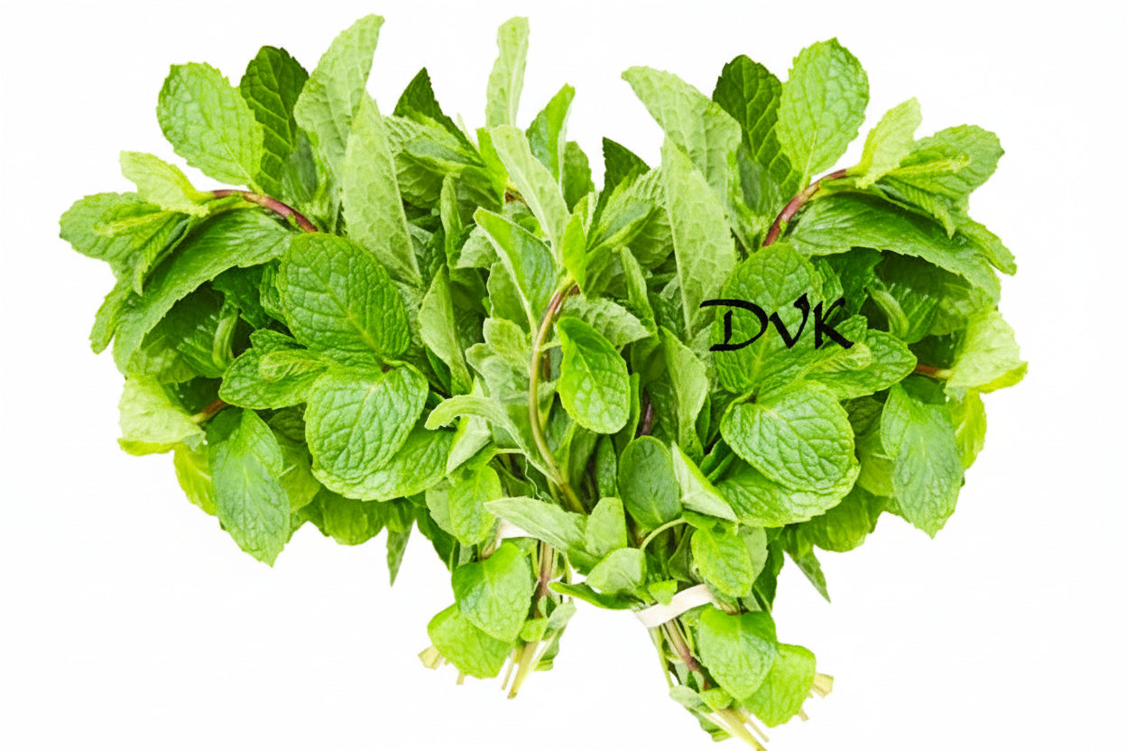 Fresh Mint/Pudina Leaves (Bunch of 2)