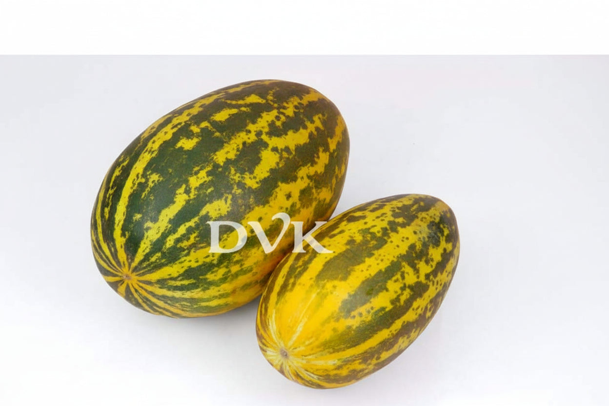 Yellow cucumber (Approx. 500g to 750g)